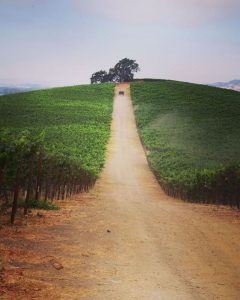 Bevan Cellars
