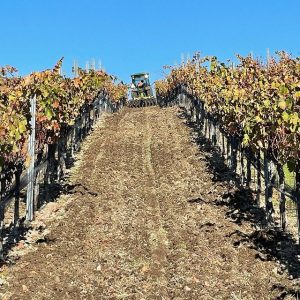 Andremily Wines