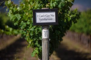 Cliff Lede Vineyards