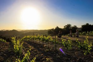 Clos Solene