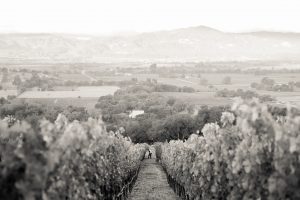 Dalla Valle Vineyards