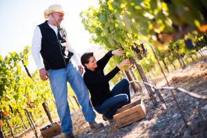 Epoch Estate Wines