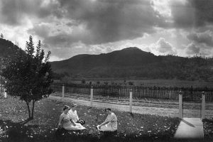 Mauriston Wines
