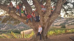 Mauriston Wines